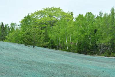 Landscape restoration