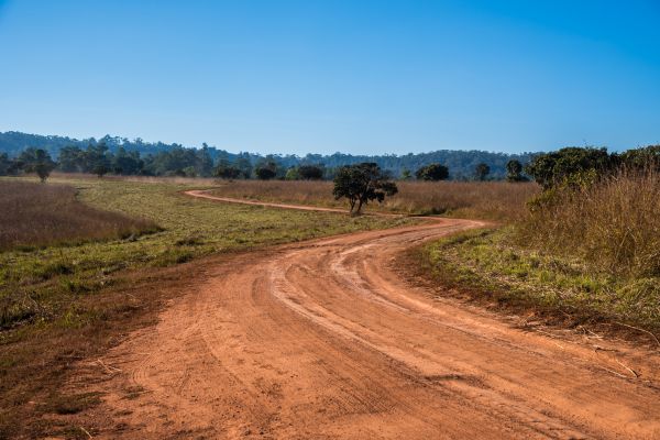 Cost of Dirt Driveway Repair in Alpharetta