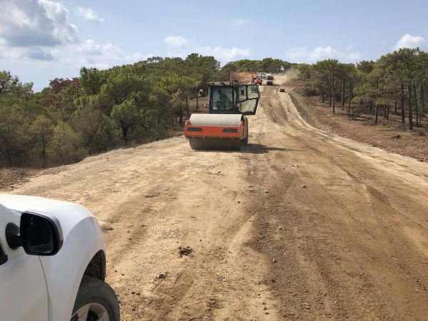 Cost of Driveway Grading in Alpharetta