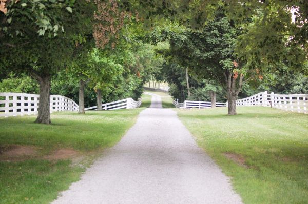 Cost of Gravel Driveway Construction in Alpharetta
