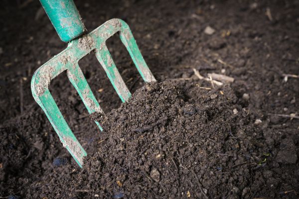 Cost of Topsoil Spreading in Alpharetta