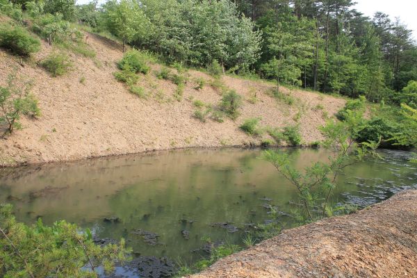 Cost of Pond Erosion Repair in Alpharetta