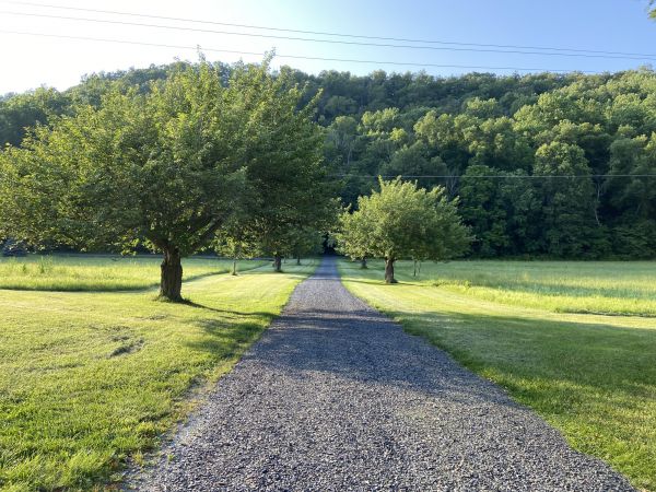 Cost of Gravel Road Construction in Alpharetta