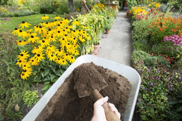 Cost of Topsoil Installation in Alpharetta