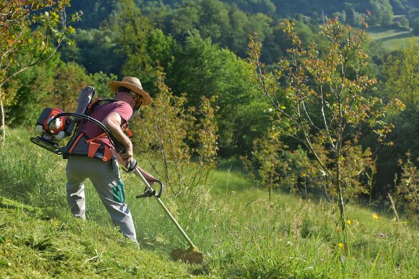 Cost of Slope Trimming in Alpharetta